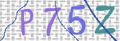 画像に表示された文字を入力して下さい
