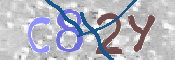 画像に表示された文字を入力して下さい