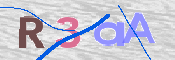 画像に表示された文字を入力して下さい