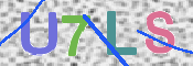 画像に表示された文字を入力して下さい