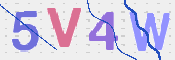 画像に表示された文字を入力して下さい