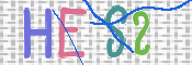 画像に表示された文字を入力して下さい