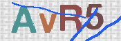画像に表示された文字を入力して下さい