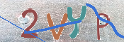 画像に表示された文字を入力して下さい