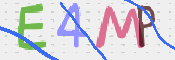 画像に表示された文字を入力して下さい