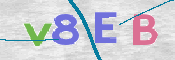 画像に表示された文字を入力して下さい