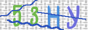 画像に表示された文字を入力して下さい