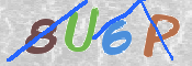 画像に表示された文字を入力して下さい