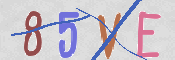 画像に表示された文字を入力して下さい