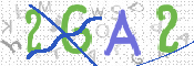 画像に表示された文字を入力して下さい