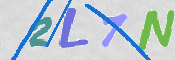 画像に表示された文字を入力して下さい