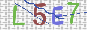 画像に表示された文字を入力して下さい