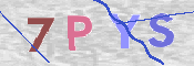 画像に表示された文字を入力して下さい