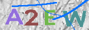 画像に表示された文字を入力して下さい