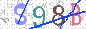 画像に表示された文字を入力して下さい