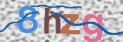 画像に表示された文字を入力して下さい