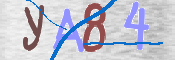 画像に表示された文字を入力して下さい