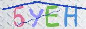 画像に表示された文字を入力して下さい