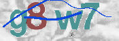 画像に表示された文字を入力して下さい