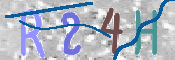 画像に表示された文字を入力して下さい