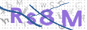 画像に表示された文字を入力して下さい