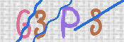 画像に表示された文字を入力して下さい