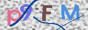画像に表示された文字を入力して下さい