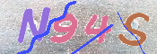 画像に表示された文字を入力して下さい