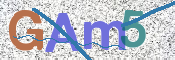 画像に表示された文字を入力して下さい