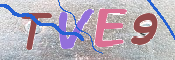画像に表示された文字を入力して下さい