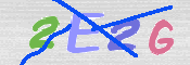 画像に表示された文字を入力して下さい