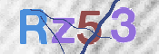 画像に表示された文字を入力して下さい