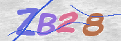 画像に表示された文字を入力して下さい