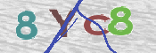 画像に表示された文字を入力して下さい