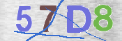 画像に表示された文字を入力して下さい