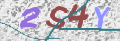 画像に表示された文字を入力して下さい