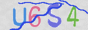画像に表示された文字を入力して下さい