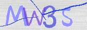 画像に表示された文字を入力して下さい