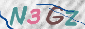 画像に表示された文字を入力して下さい