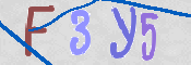 画像に表示された文字を入力して下さい