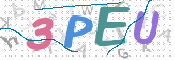 画像に表示された文字を入力して下さい
