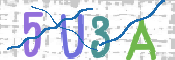 画像に表示された文字を入力して下さい