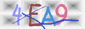 画像に表示された文字を入力して下さい