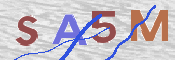 画像に表示された文字を入力して下さい