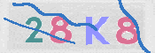 画像に表示された文字を入力して下さい