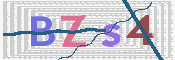 画像に表示された文字を入力して下さい