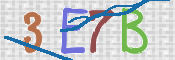 画像に表示された文字を入力して下さい