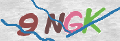 画像に表示された文字を入力して下さい
