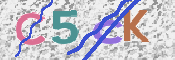 画像に表示された文字を入力して下さい