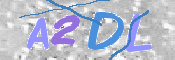 画像に表示された文字を入力して下さい